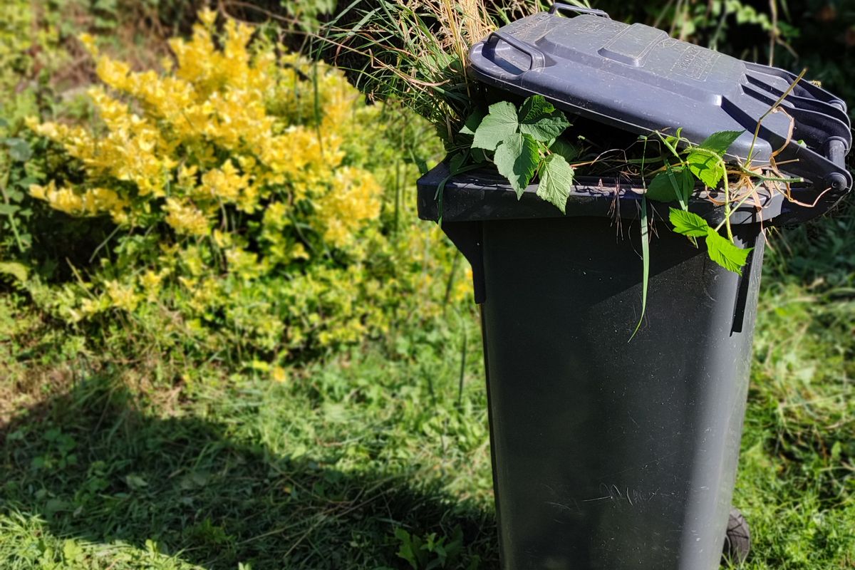 Garden waste clearance and green waste removal
